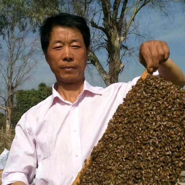 富平县功善蜜蜂场