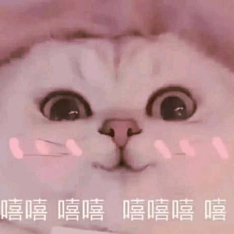 著名躺平一号选手