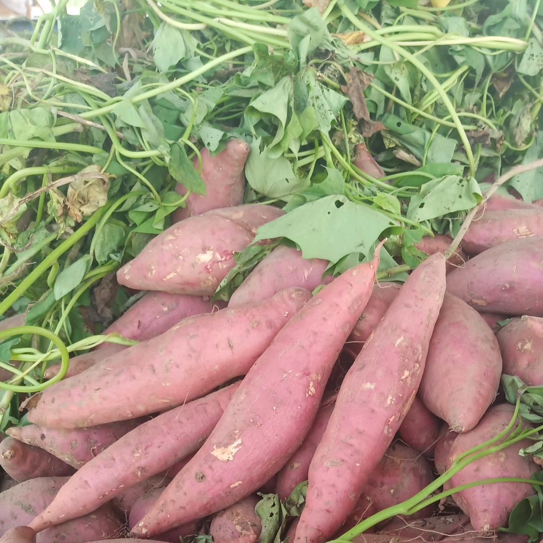 开封豪辉农产品有限公司。