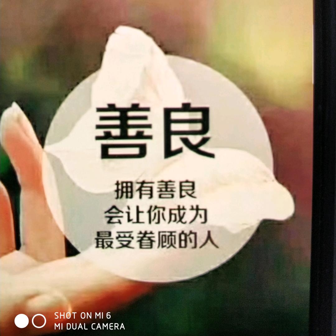 遇健未耒
