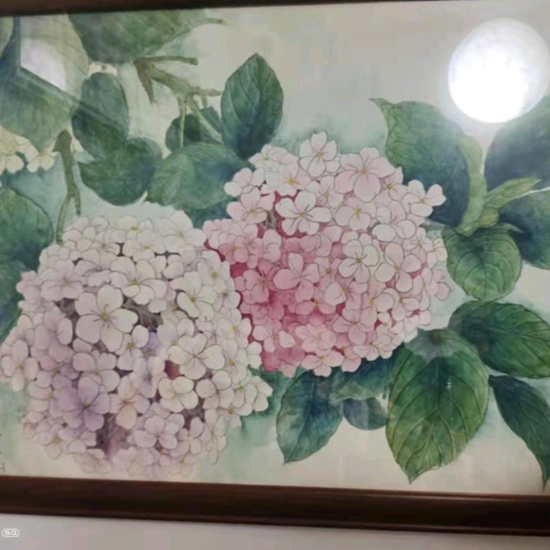 寒梅傲雪，🇨🇳🙏🏻🌹