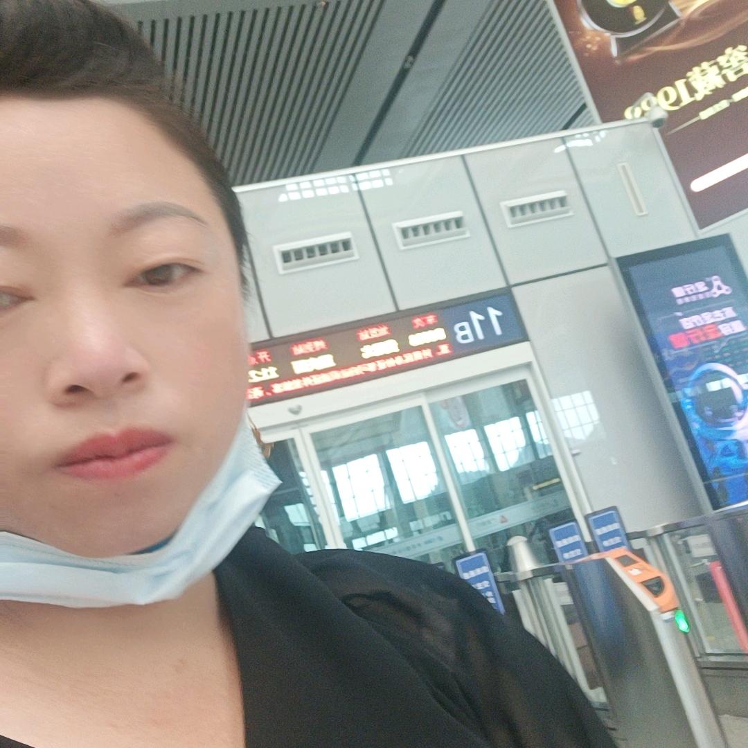 小燕子