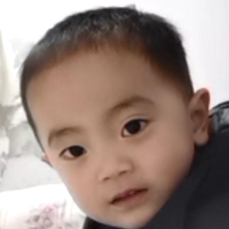 淡淡春