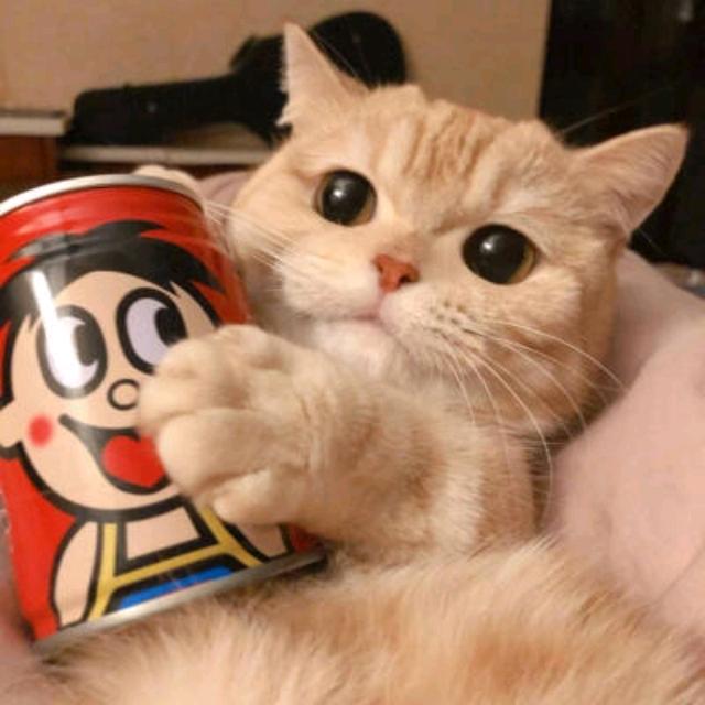 我在这呢