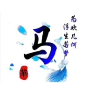 盛开在夏天的向阳花