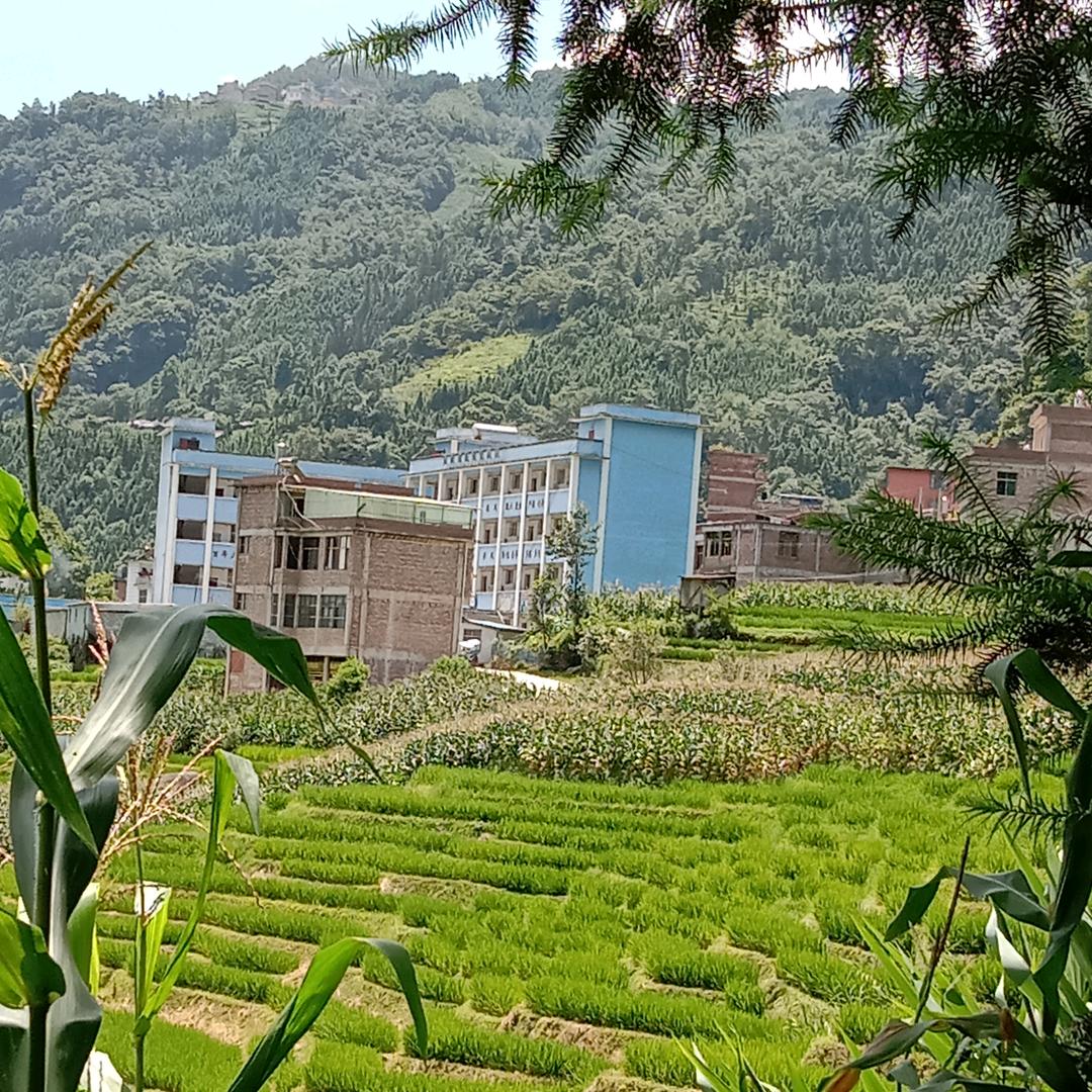 爱的不是你能是别人吗？