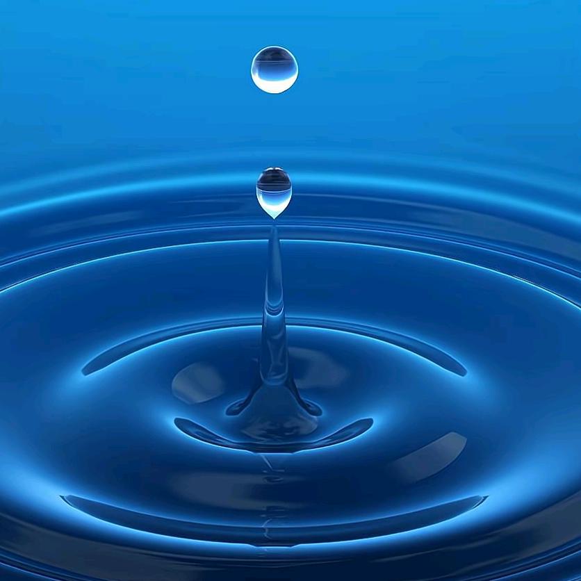 贫僧法号不戒色