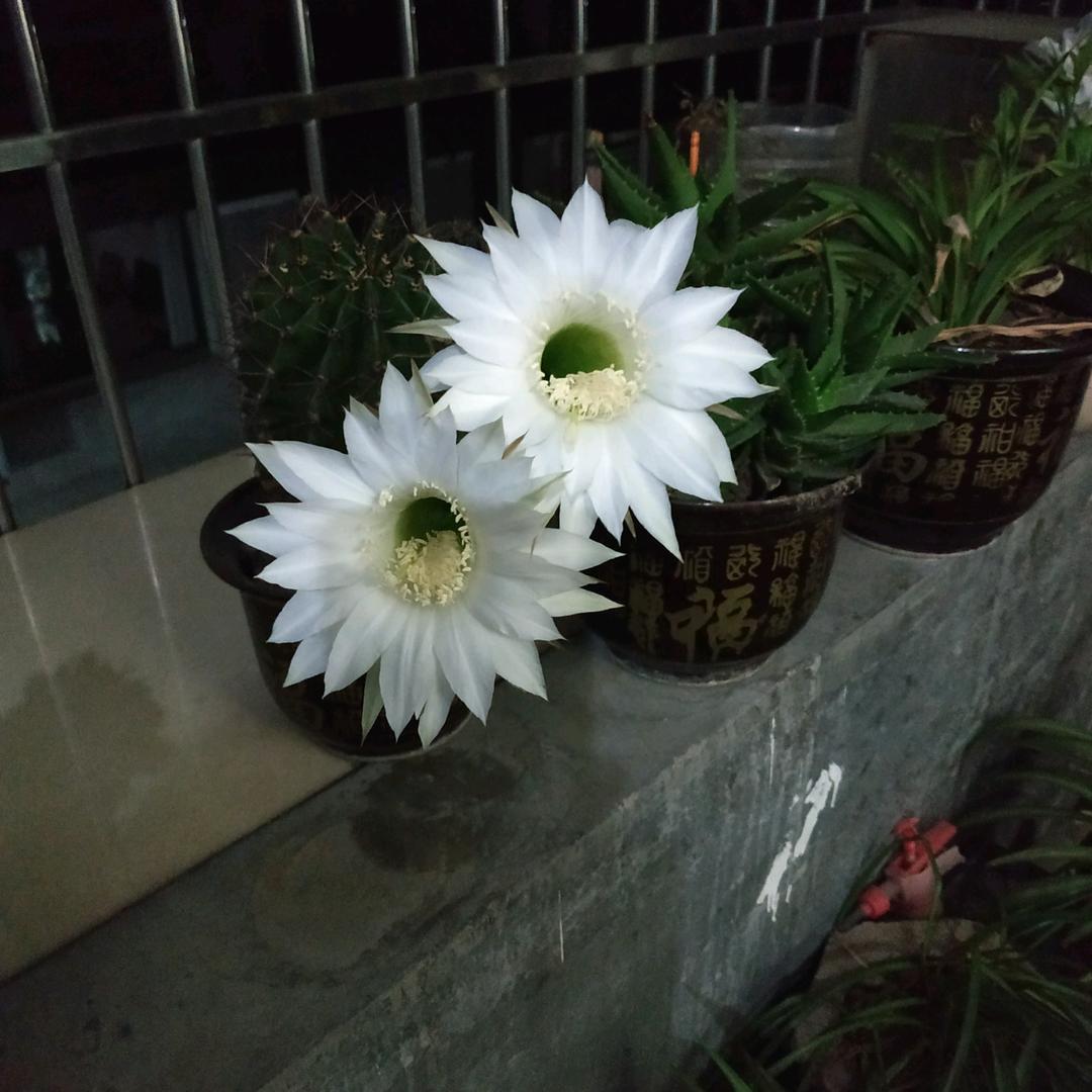！玲