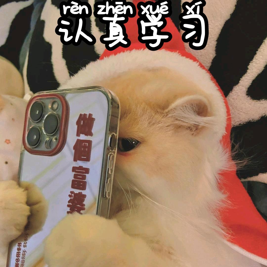 想吃唐僧肉的小妖精