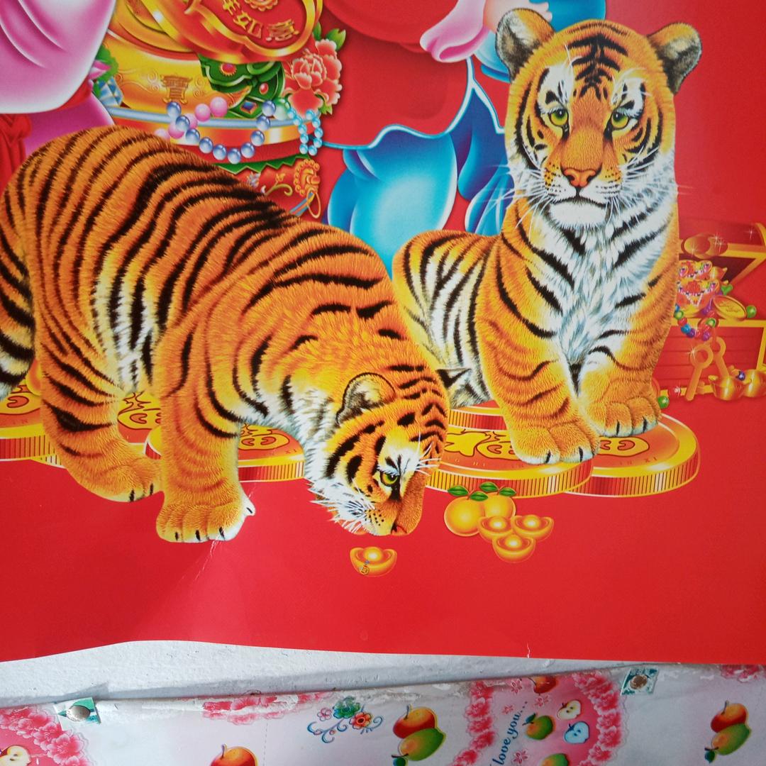 闫林泽