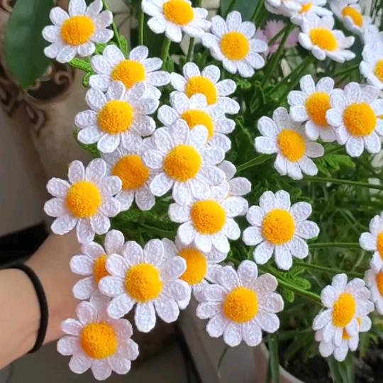 小豆芽们的成长