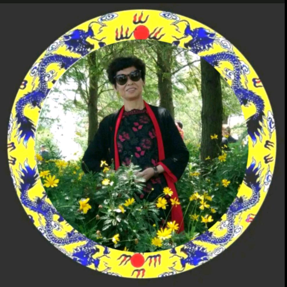 龍行⭐️王慧君（14）