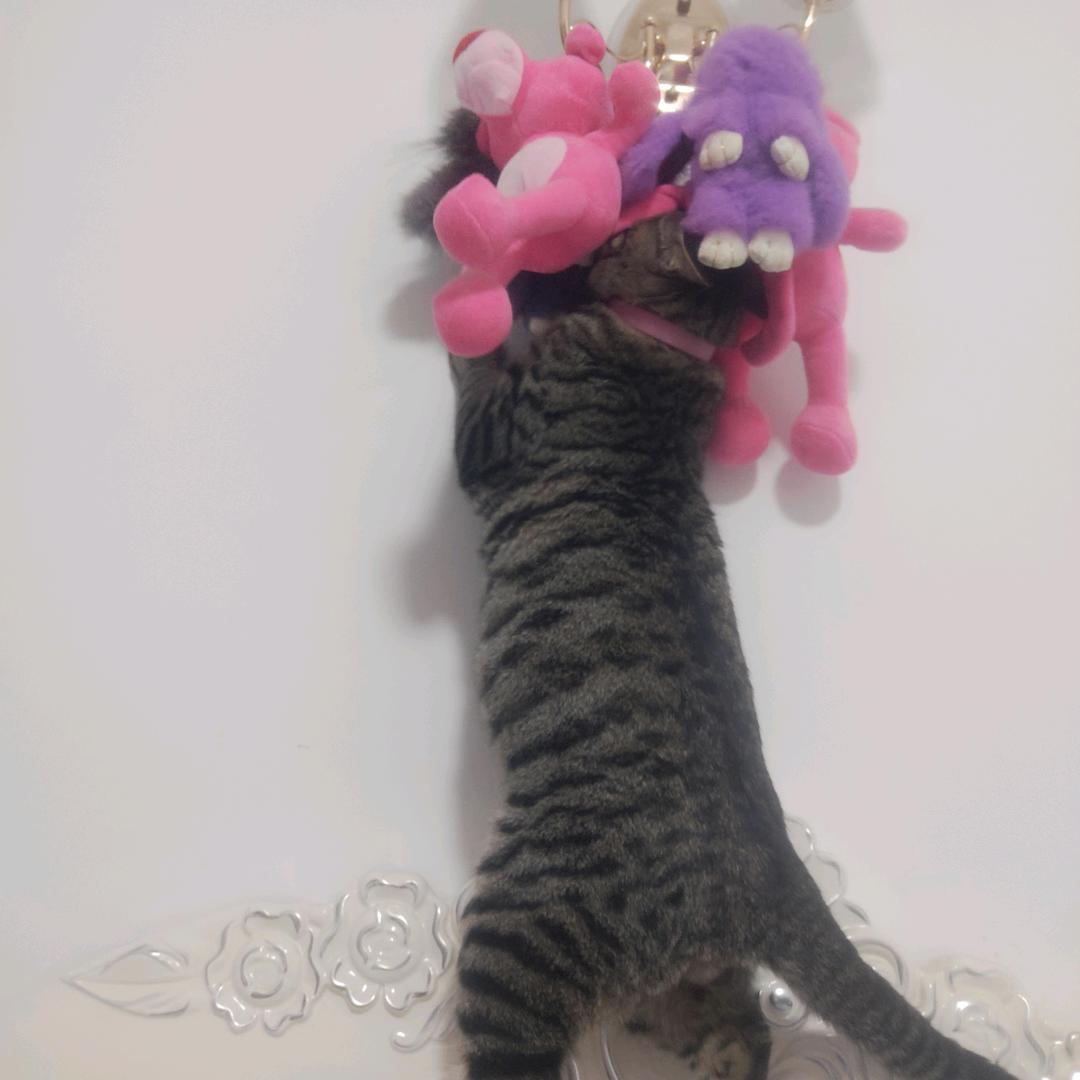 👫1314难舍得情缘→为你守候👫(拒