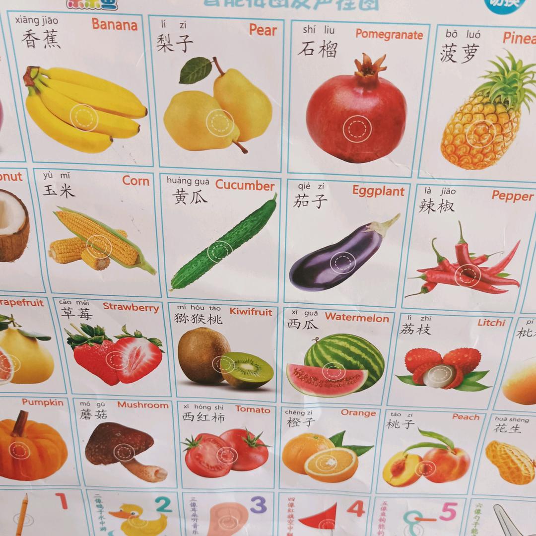 家园