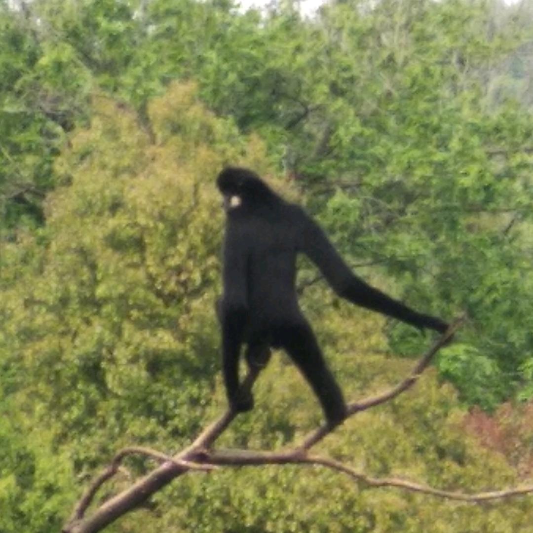 利辛县新旧厨具二手交易市场