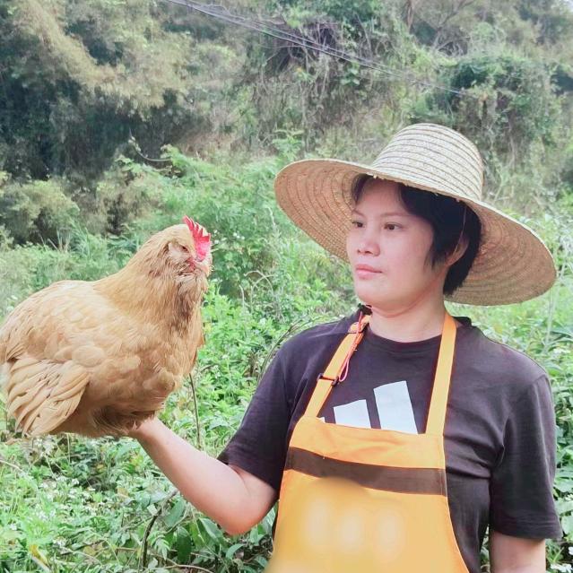 杨贵妃园林农场