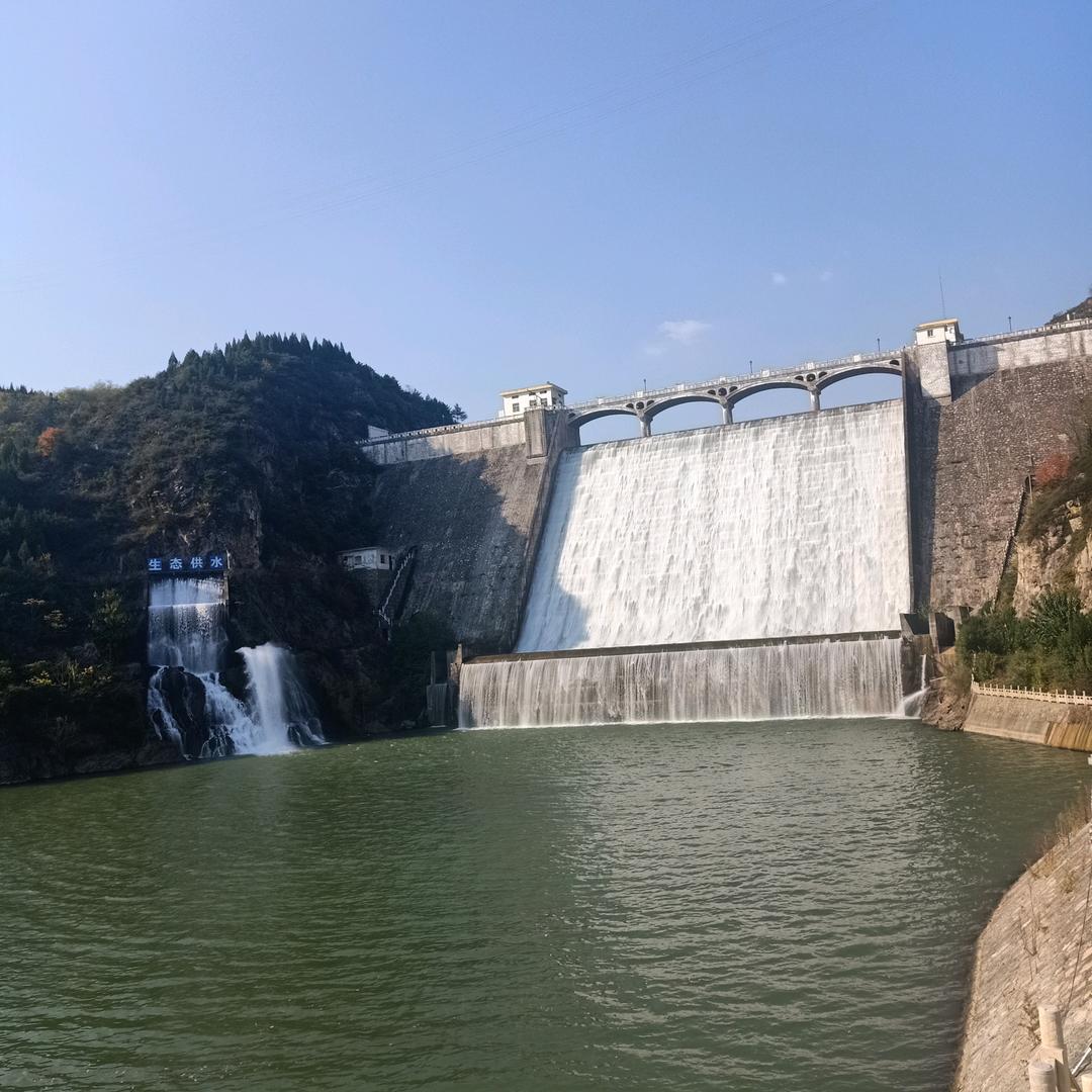 莫言_2487677
