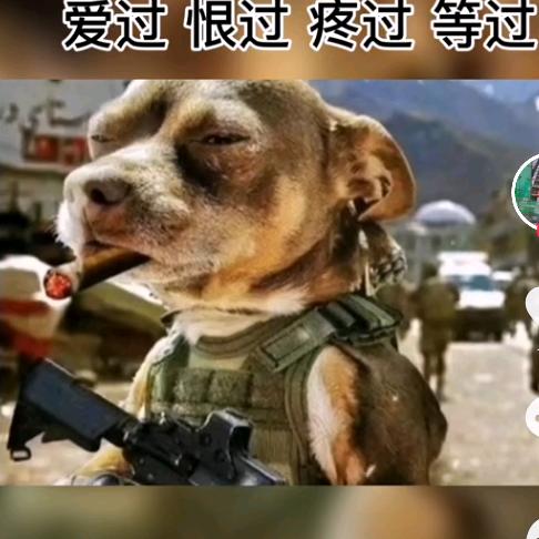 吳以倫比