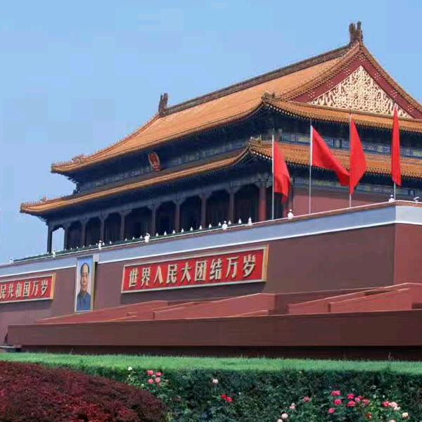 未来阳光