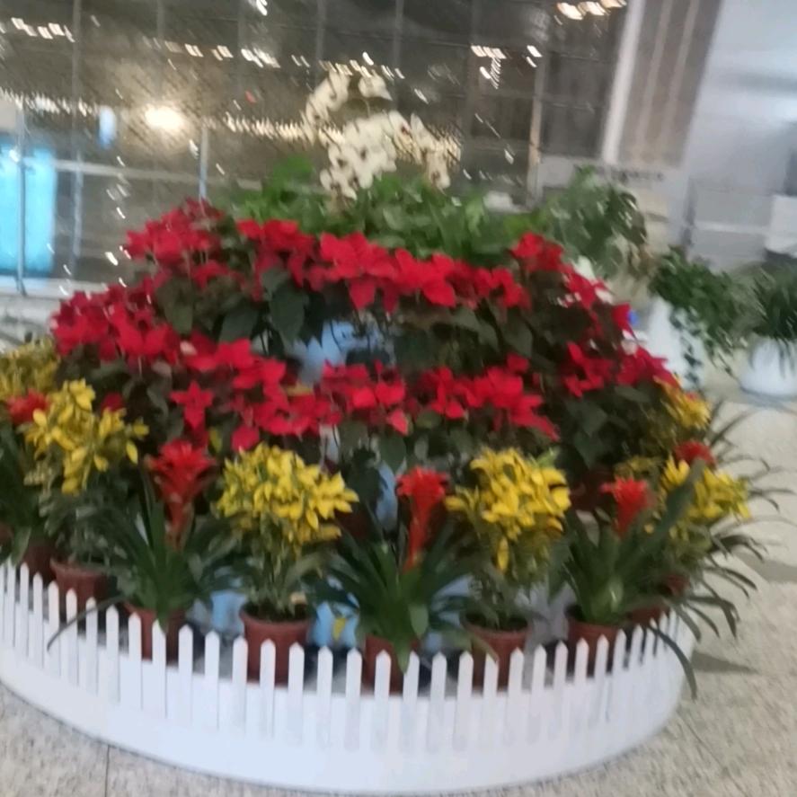 三角洲楠哥跑刀