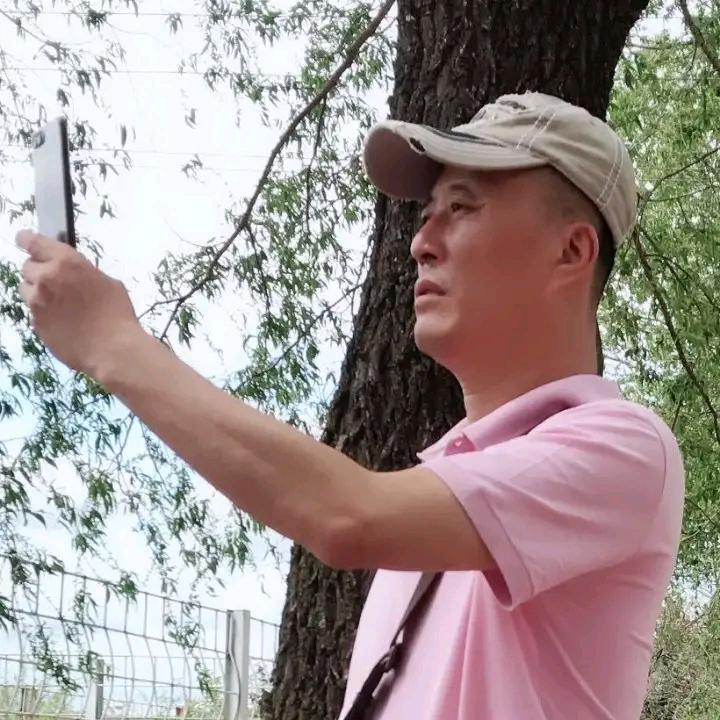 快乐的狼