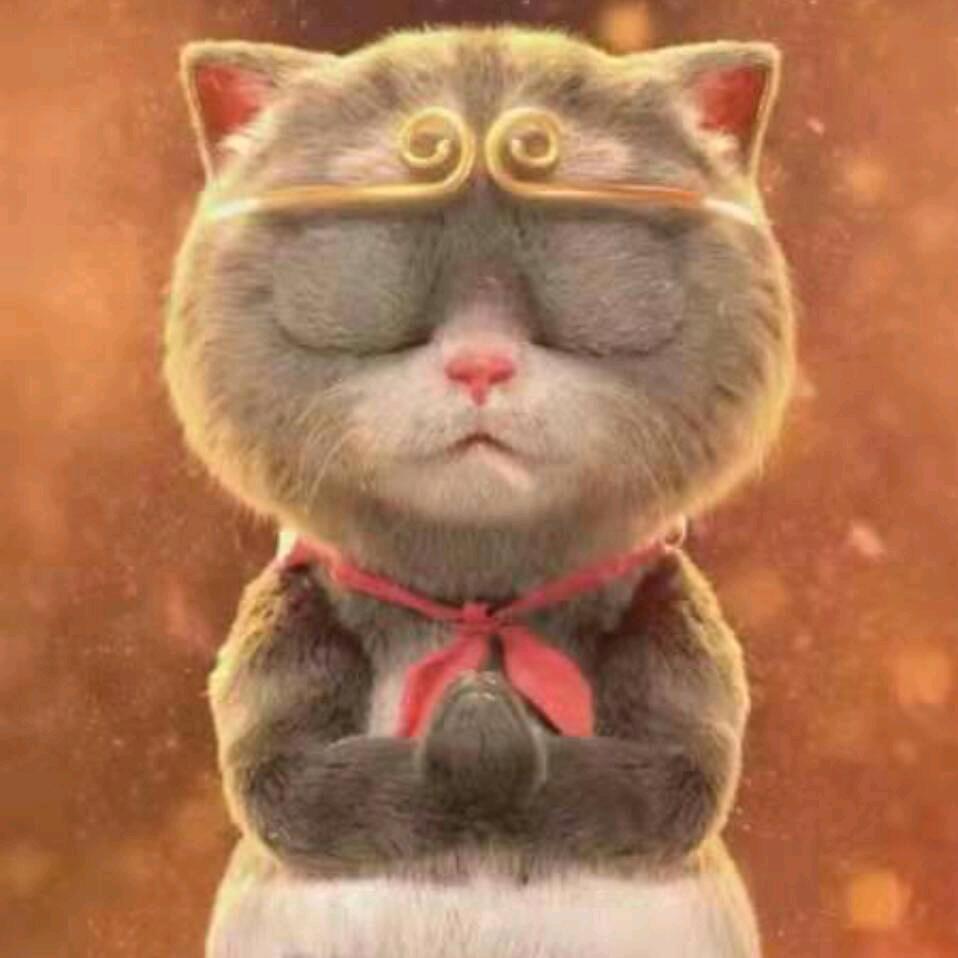 老猫的民宿生活