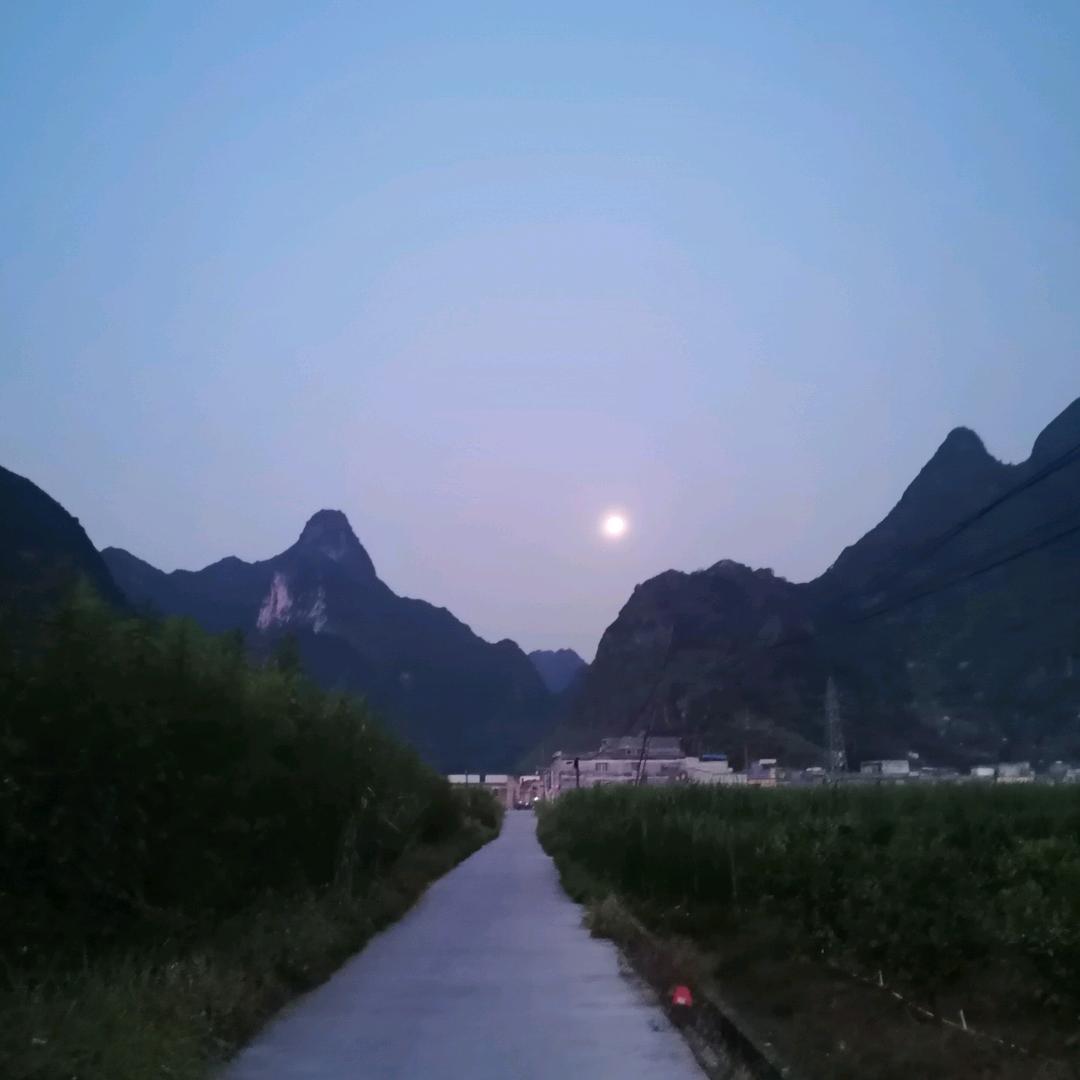 用户3959963086907二哥