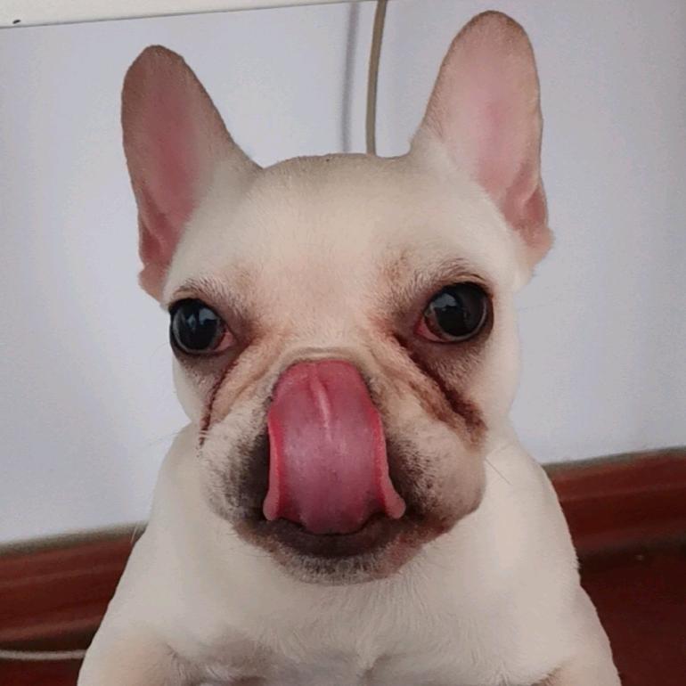 是迈神的小迷妹啊