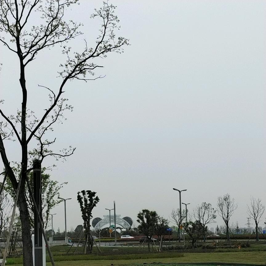 枫叶有恒