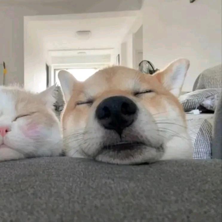 科比！在吗？
