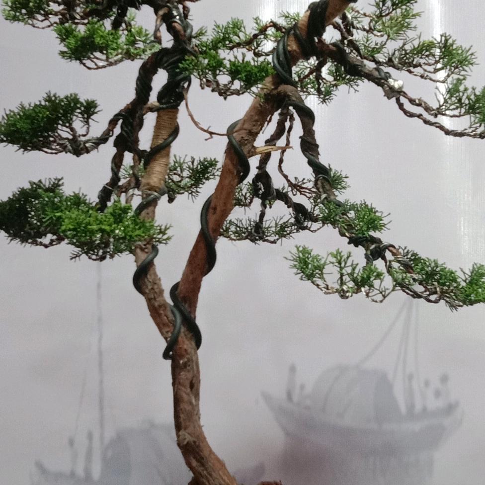 用户8779222270760