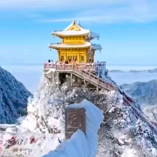 天水哥