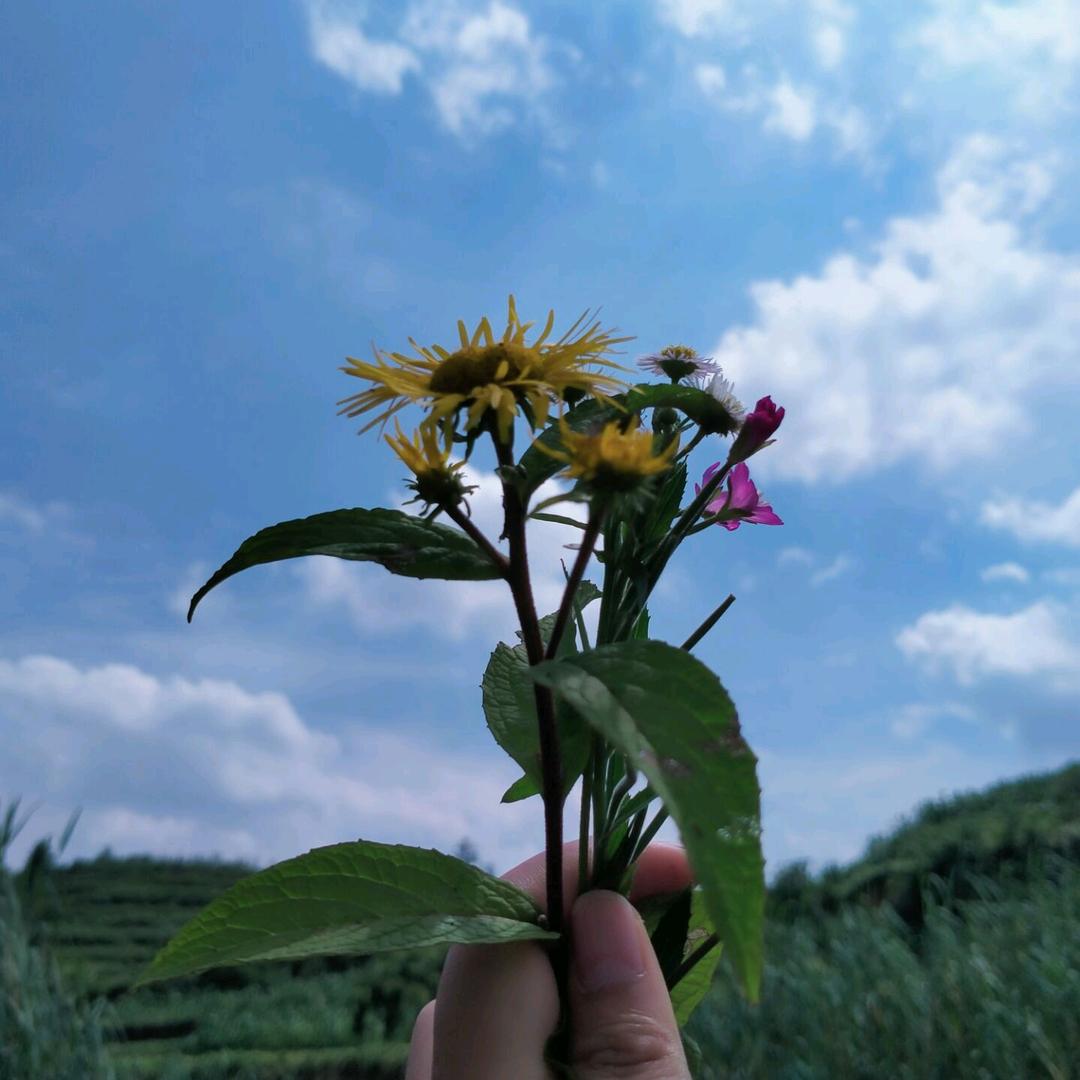 凯里市秀才旧货经营部