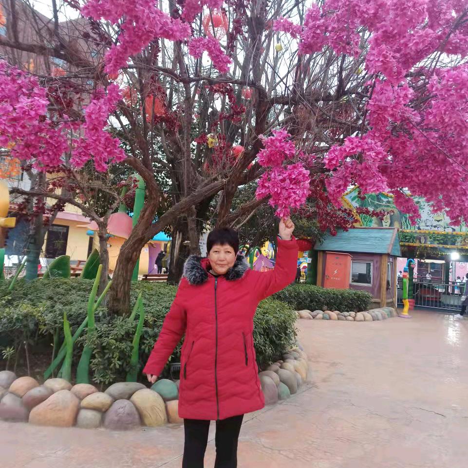 小苹果🍎