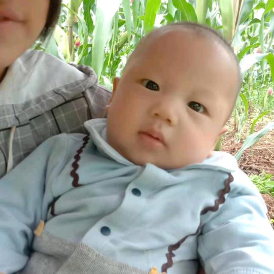 龙   哥