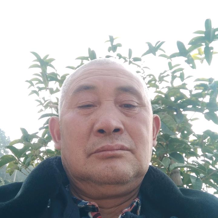 佘群儒