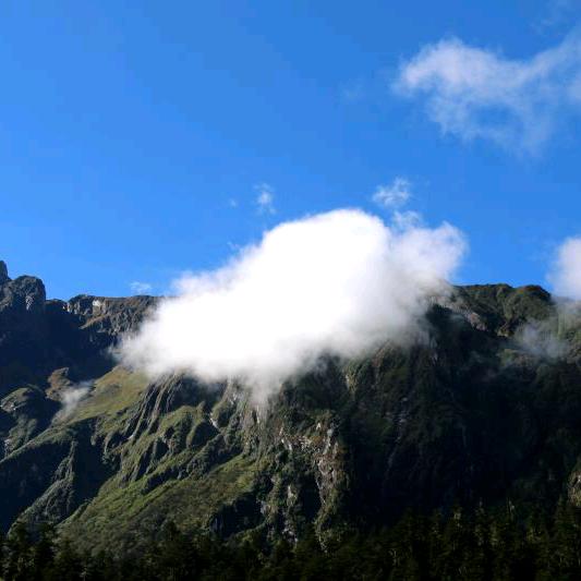 ╭(╯ε╰)╮奉杨任风*^_^*