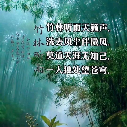 竹林聴雨
