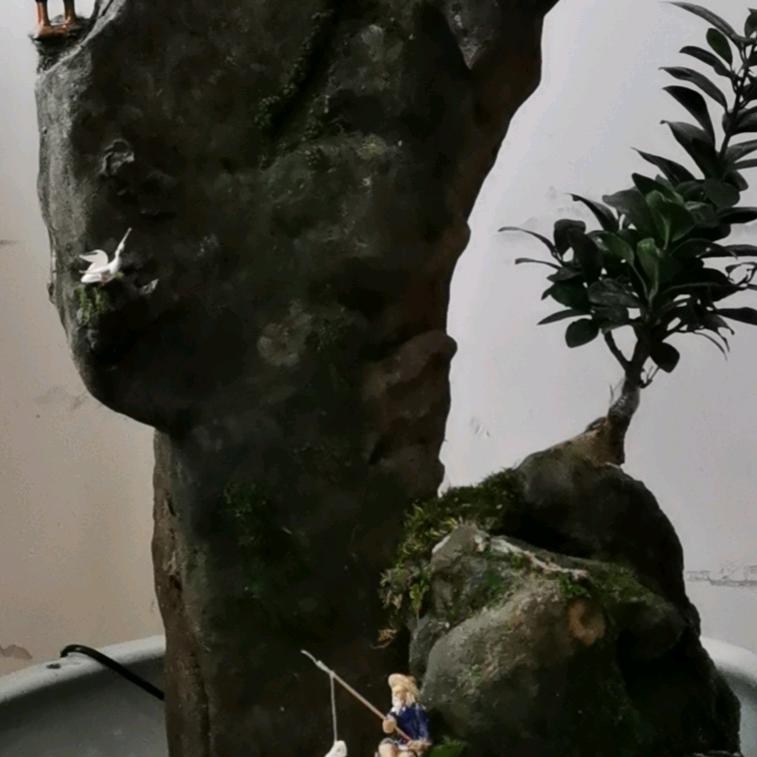 风清云淡