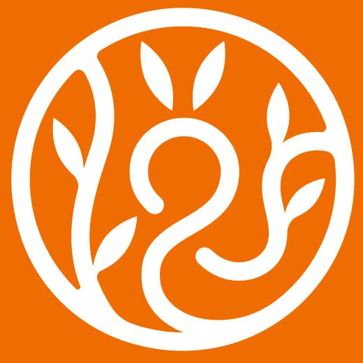 一盏悦色（养生）