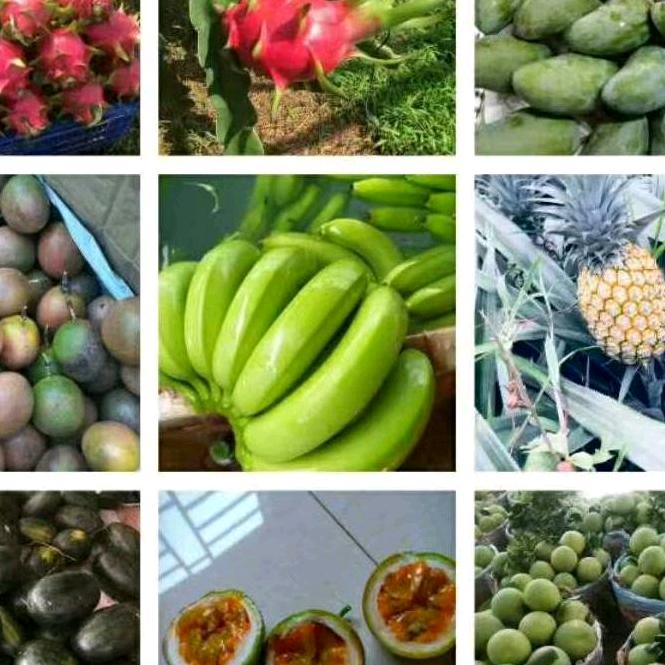 无家可归的男儿一直都在奋斗之中