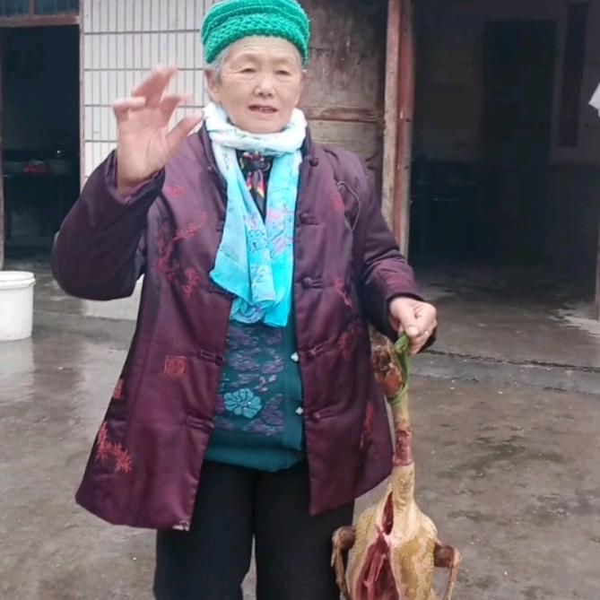 江奶奶