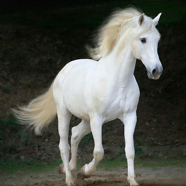 ，，，沙画，，，