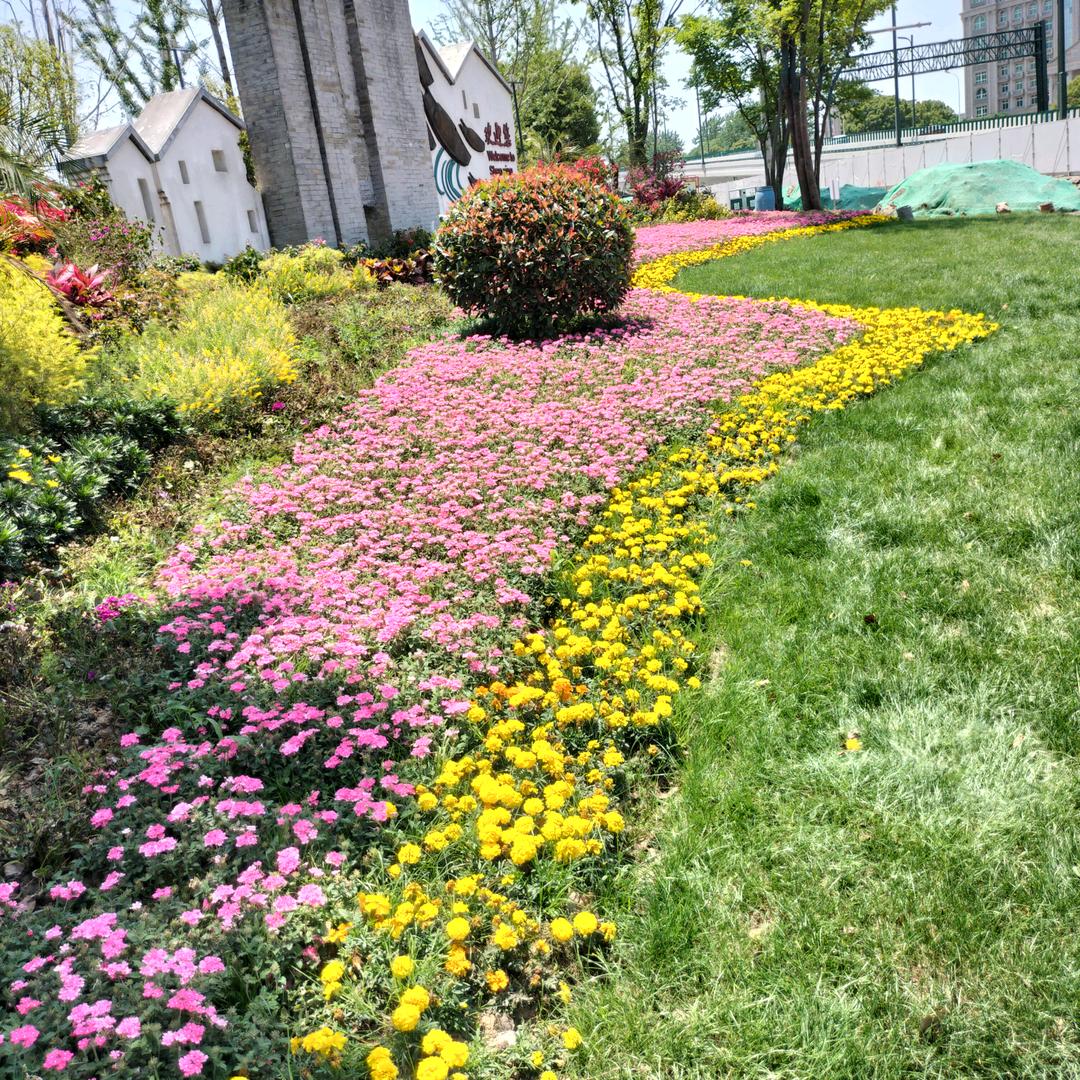花好月圆（简）