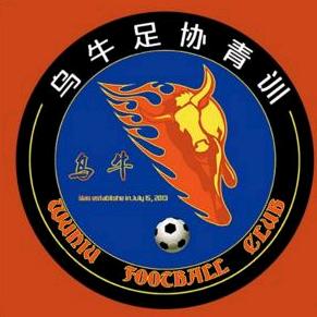 乌牛足球小将