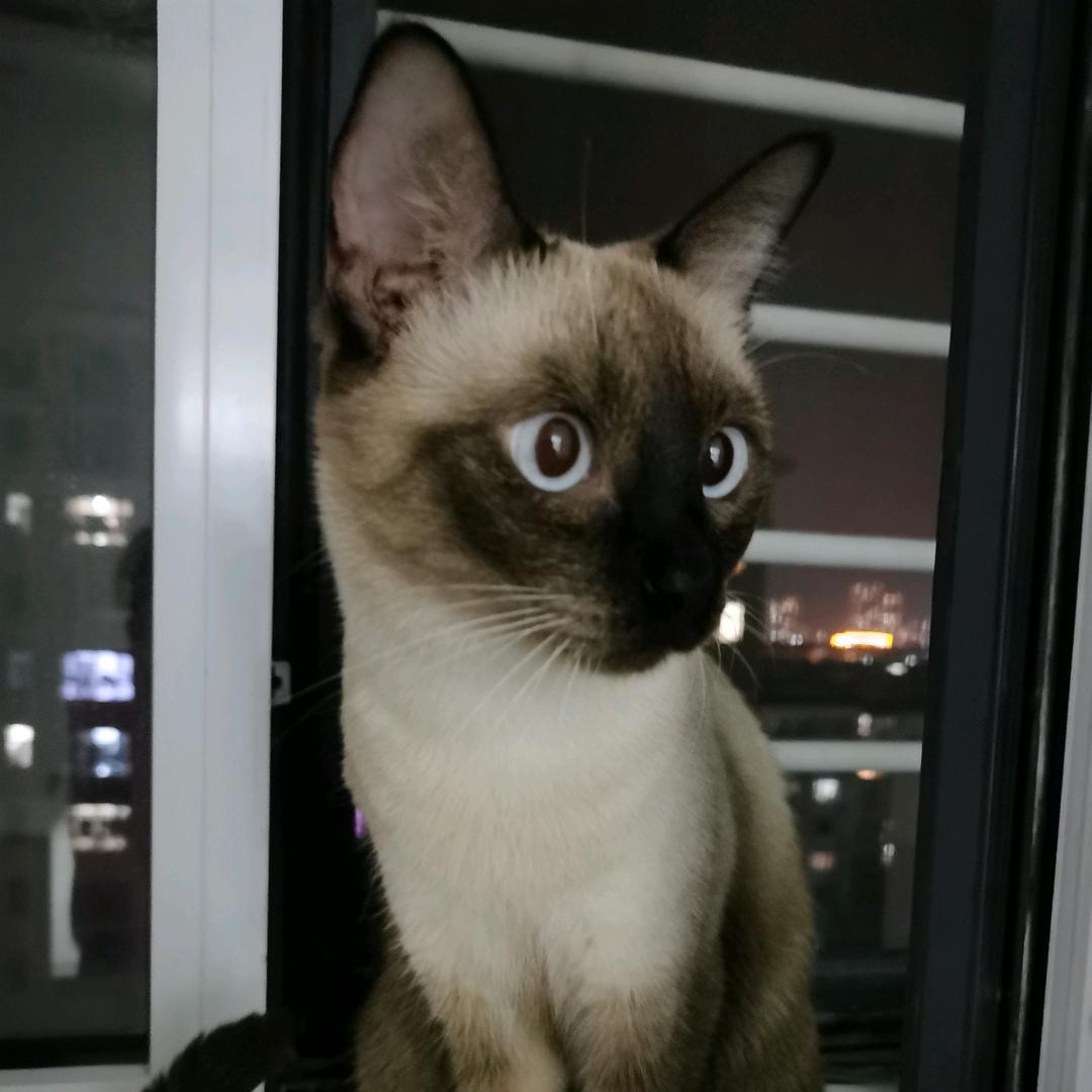 三生石