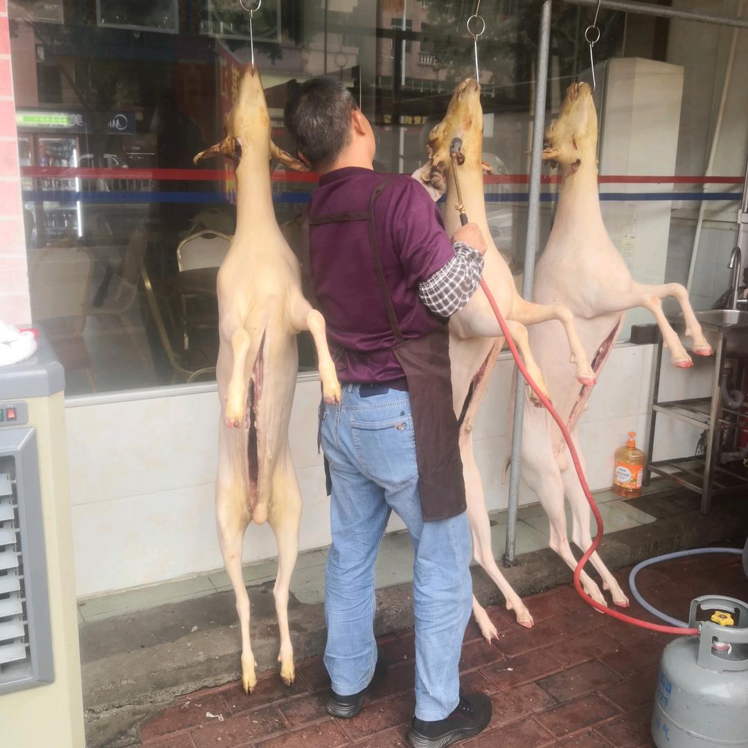 百鲜火锅城官方号