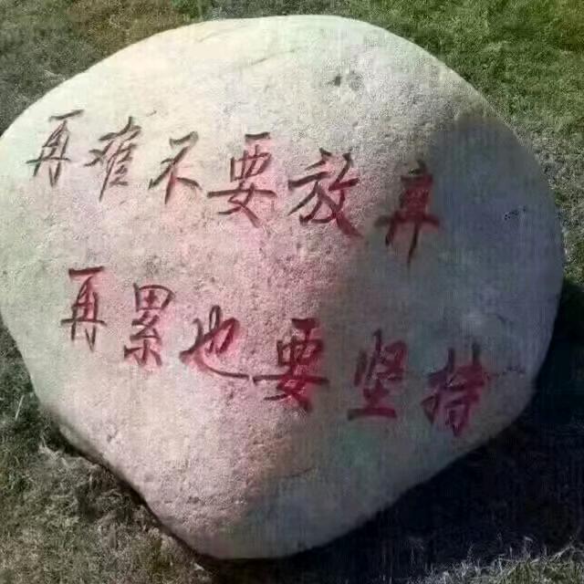 陕蒙煤制品有限公司 ~鑫臻煤矿.淖尔壕煤