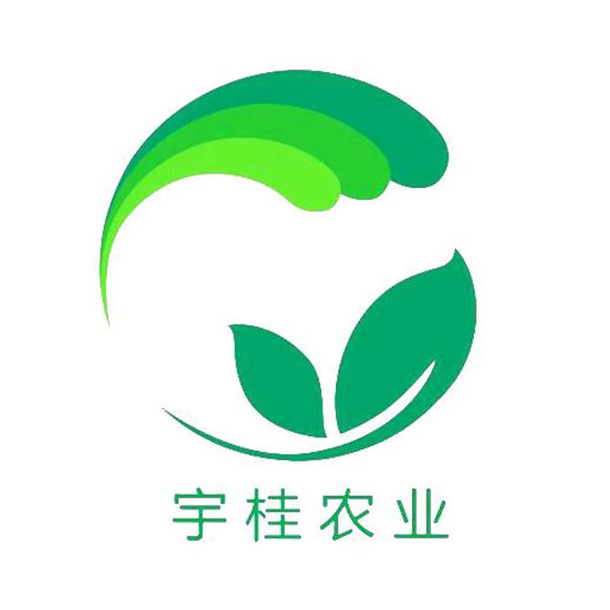 李好哆