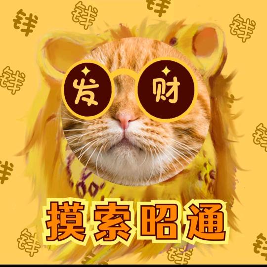 摸索昭通